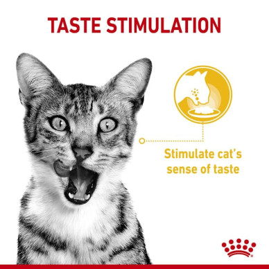 Royal Canin Sensory Taste – Hrană Umedă pentru Pisici Adulte în Sos – 85 g